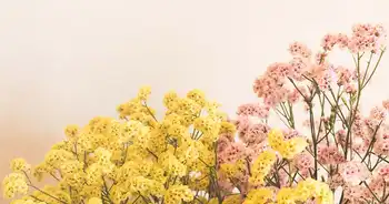 AllergoTest® : à quoi êtes-vous allergique ?